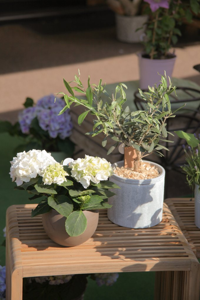 Un Jardin dans ma Ville - Édition 2025 photo 11